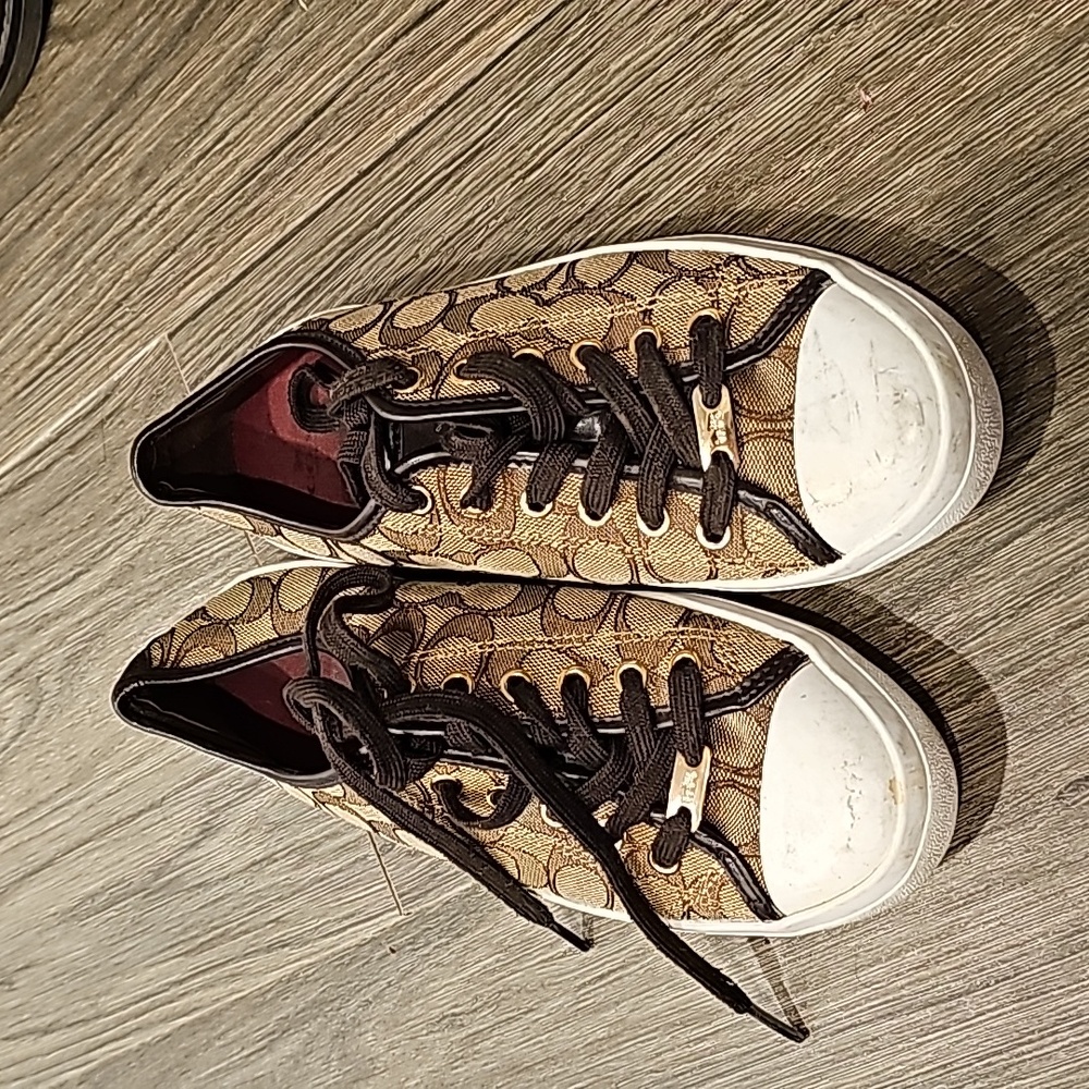 Coach canvas sneakers